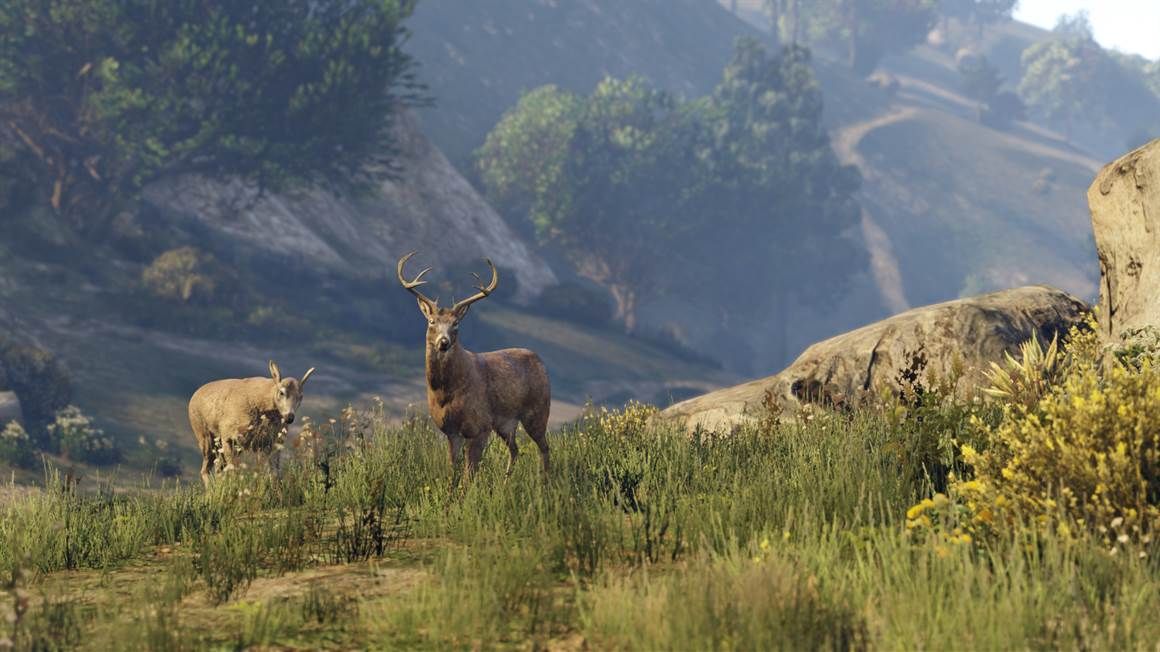 Grand Theft Auto V: Edición Premium y tarjeta Tiburón ballena